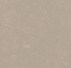 Линолеум Forbo Marmoleum Decibel on Order 370835 fossil фото 1 | FLOORDEALER